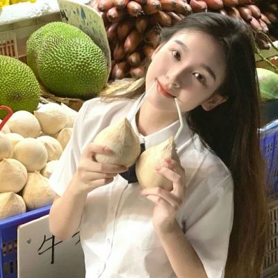 迷你动物园游戏下载